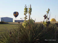 The Grace Flying Service balloon moves northeast.