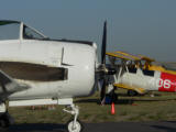 Enlarge photo